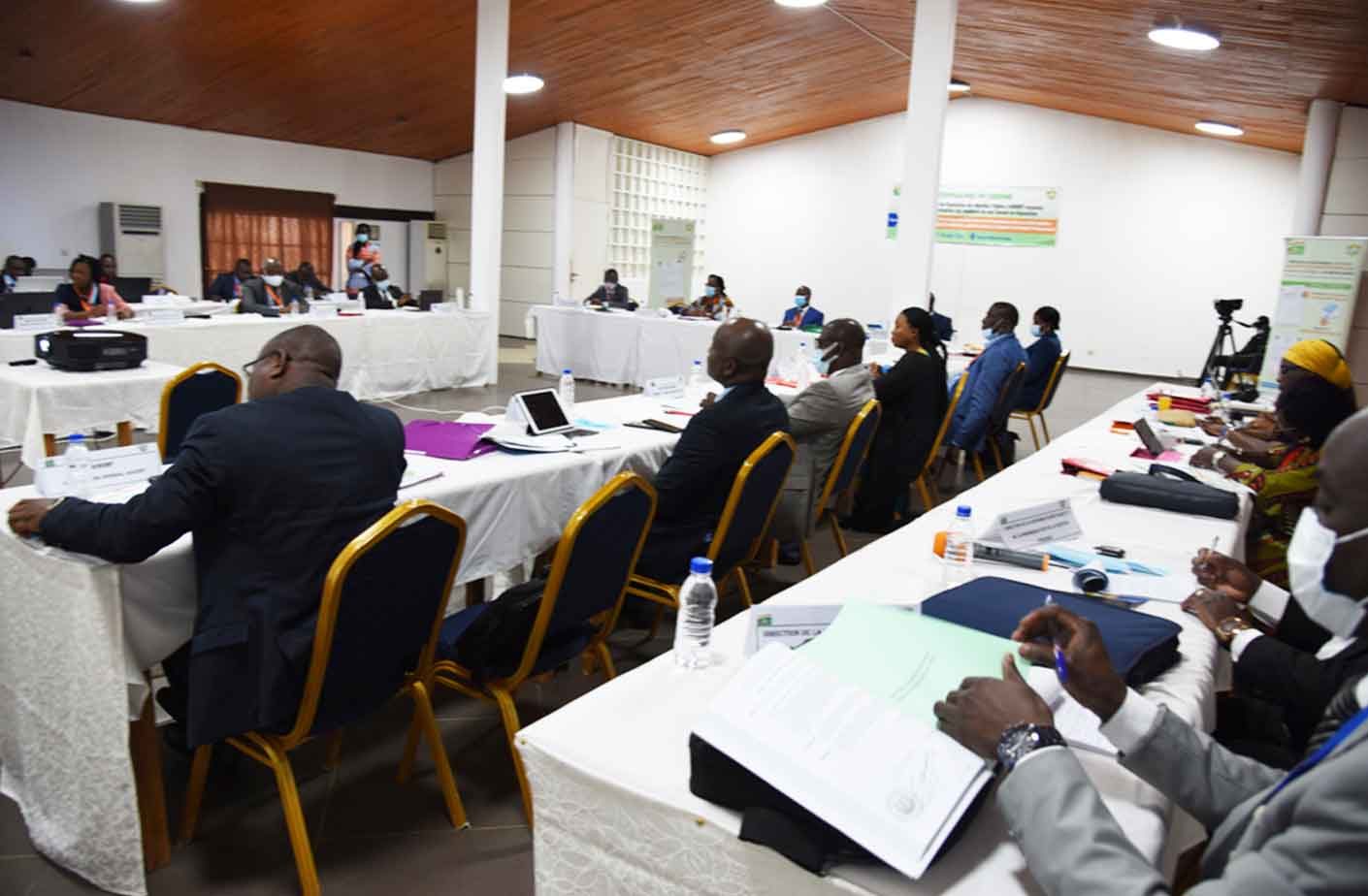 06-seminaire-membres-conseil-régul-2020